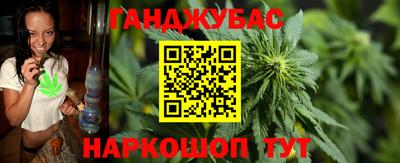 гашик Новозыбков