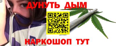 гашик Новозыбков