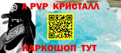 гашик Новозыбков