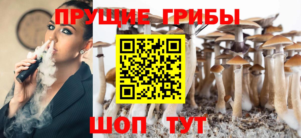 Сердобск  Псилоцибиновые грибы MAGIC MUSHROOMS  Вход с VPN 